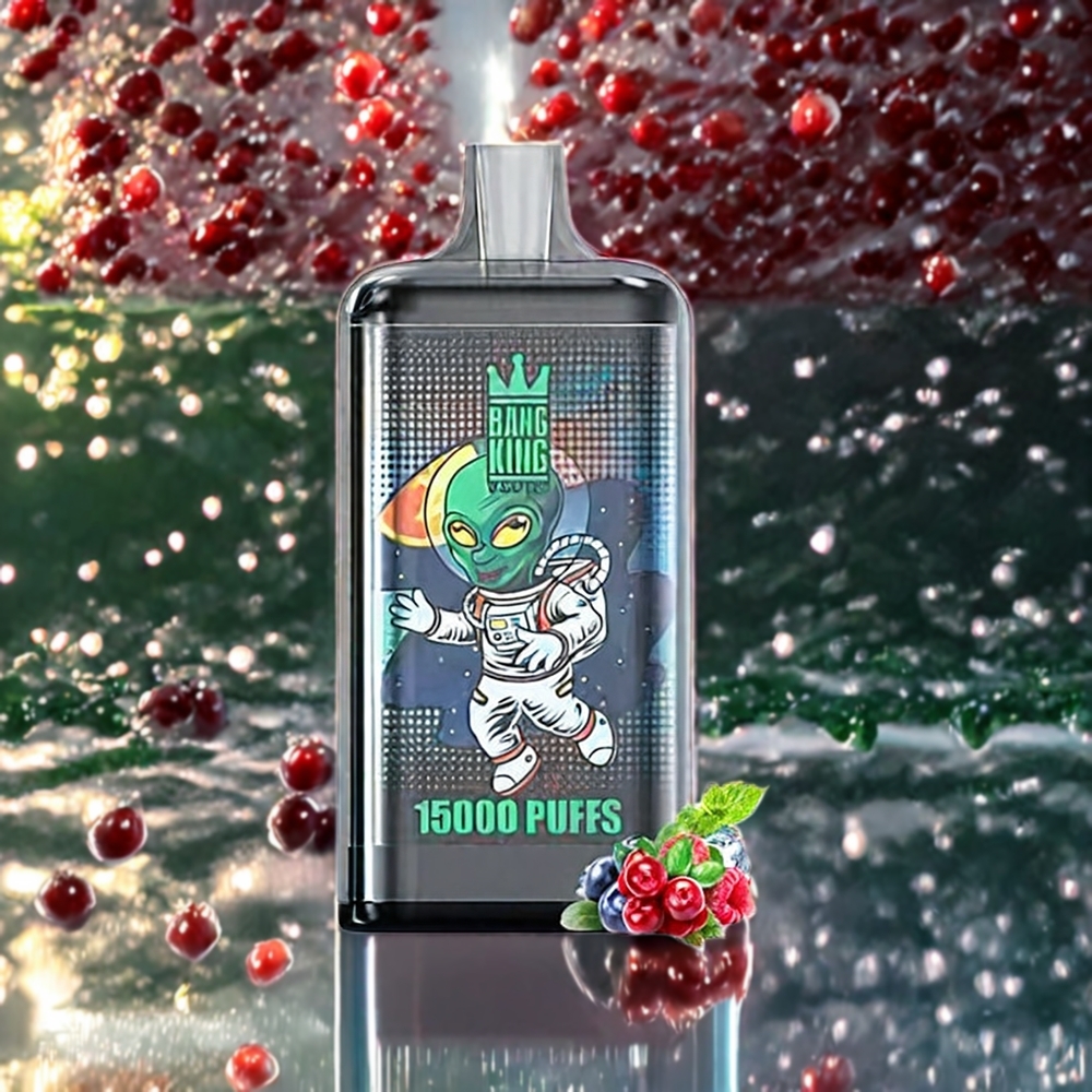 Bang King 15000パフス トリプルベリーアイス ジャパン まとめ買い 21ml 550mAh
