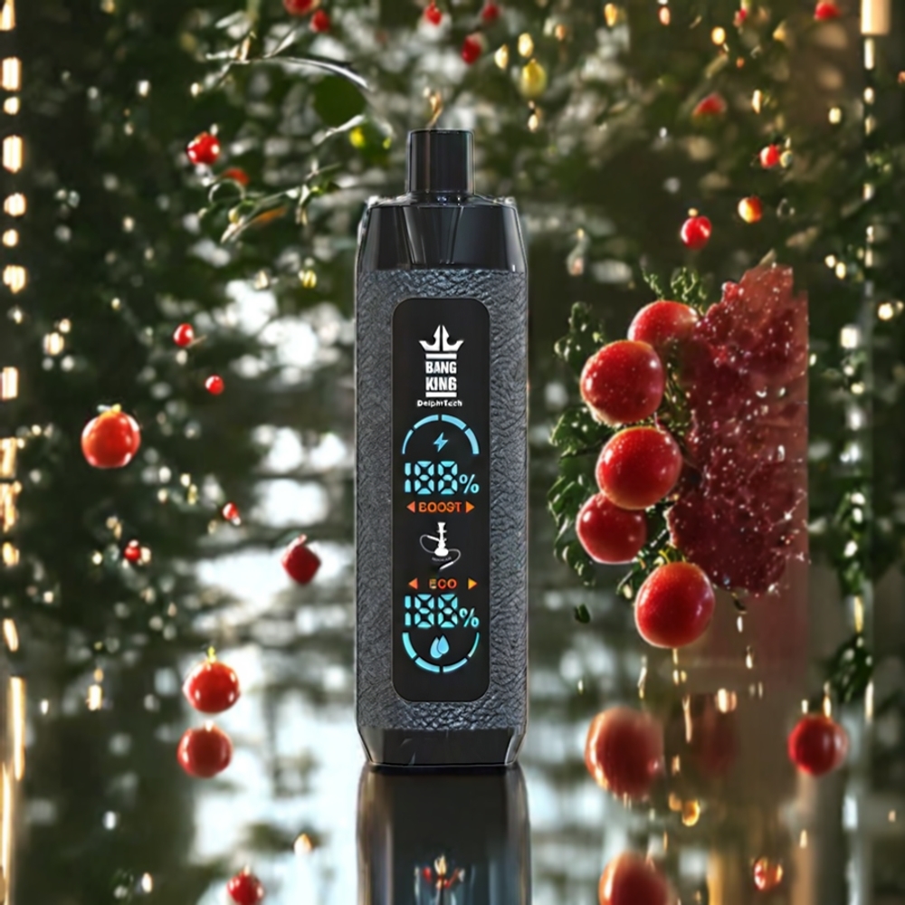 Bang King Shisha 25000パフ 30ml ジャパン まとめ買い メッシュコイル 0.6Ω Type-C