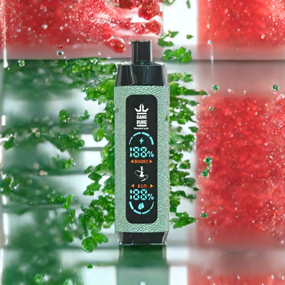 Bang King Shisha 25000パフ スイカアイス ジャパン まとめ買い 30ml 650mAh メッシュコイル 0.6Ω Type-C