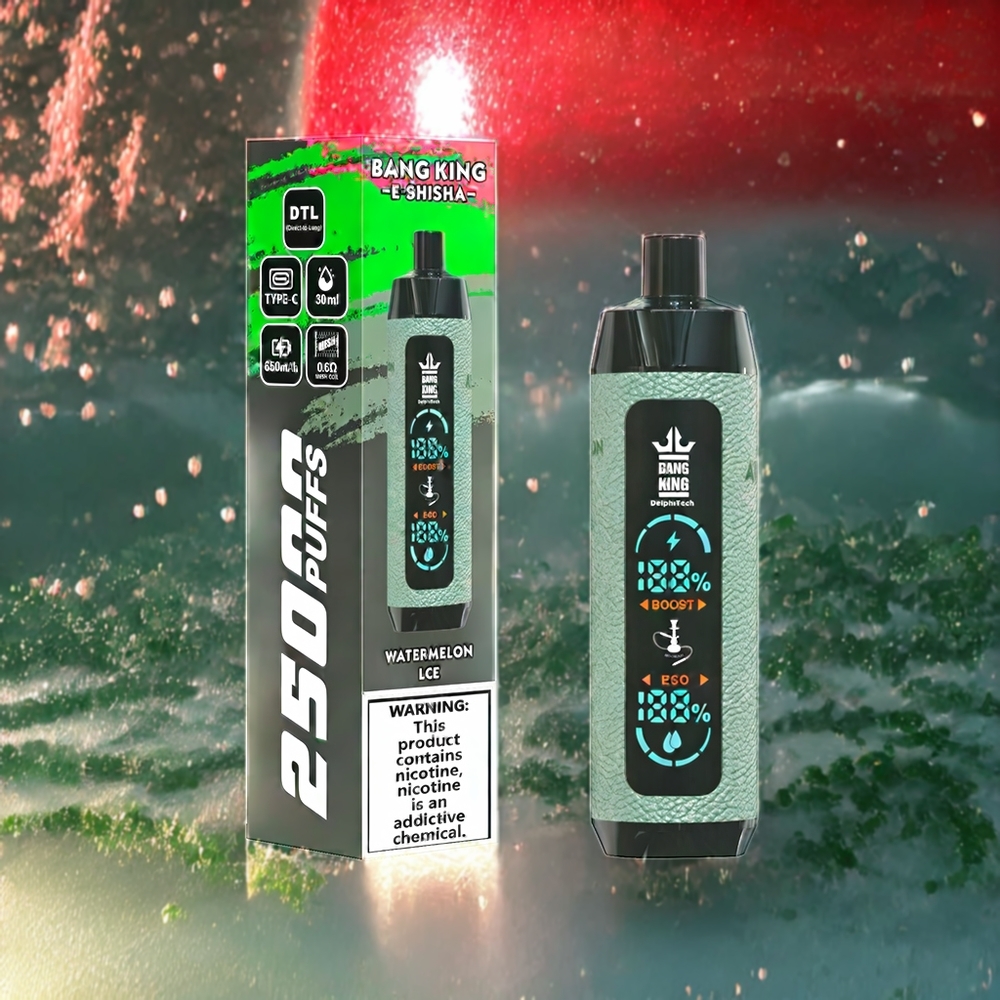 Bang King Shisha 25000パフ スイカアイス ジャパン まとめ買い 30ml 650mAh メッシュコイル 0.6Ω Type-C