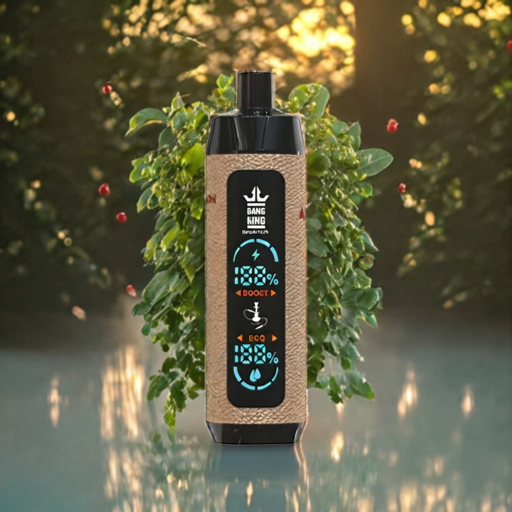 Bang King Shisha 25000パフ レモンミント ジャパン まとめ買い 30ml 650mAh 0.6オーム Type-C