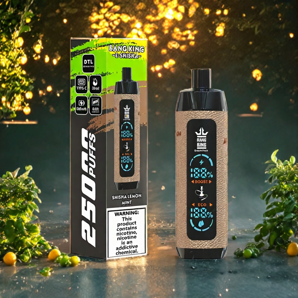 Bang King Shisha 25000パフ レモンミント ジャパン まとめ買い 30ml 650mAh 0.6オーム Type-C