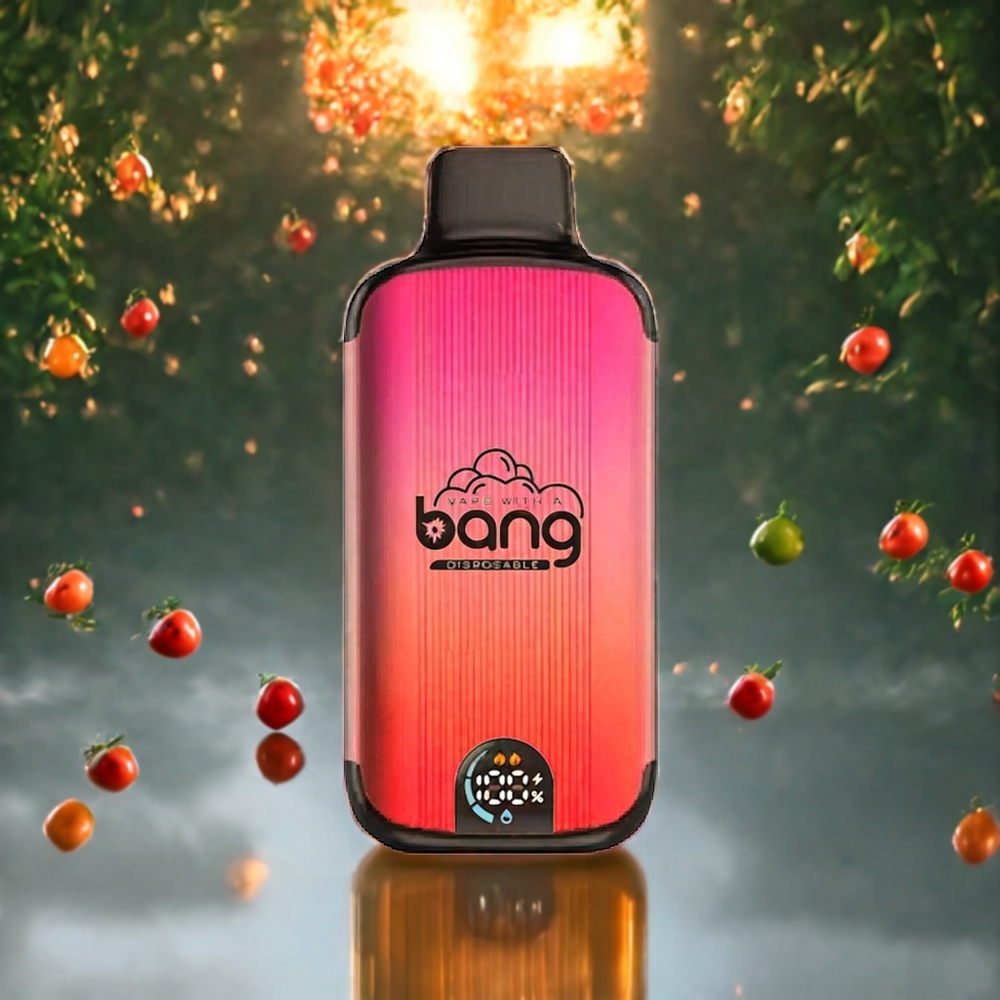 Bang 20000パフ マンゴー桃スイカ ジャパン まとめ買い 13400バッテリー デュアルメッシュ スマートスクリーン