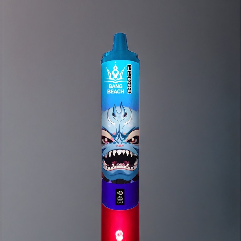 Bang Beach 22000パフ ブルーベリーレーズベリー ジャパン まとめ買い 36ml 650mAh