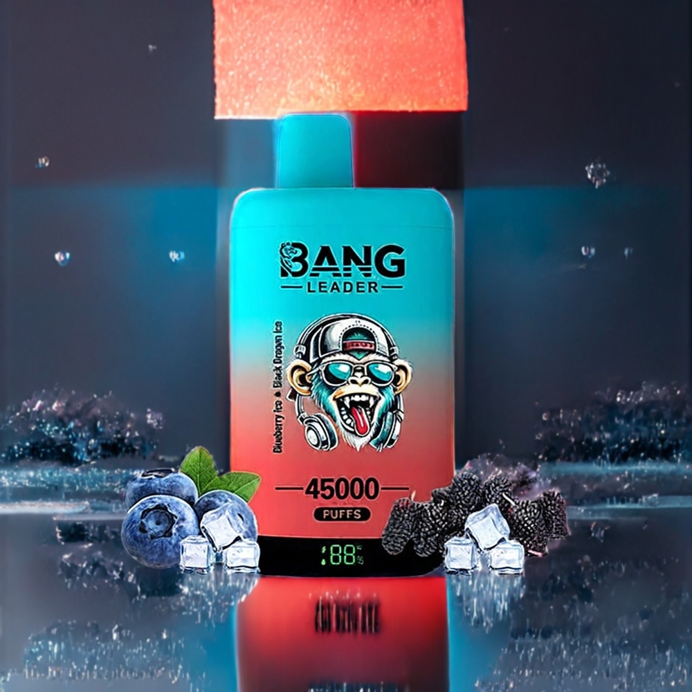 Bang Leader 45000 パフ ブルーベリーアイス ブラックドラゴンアイス 2-in-1 ジャパン まとめ買い スマートスクリーン Type-C