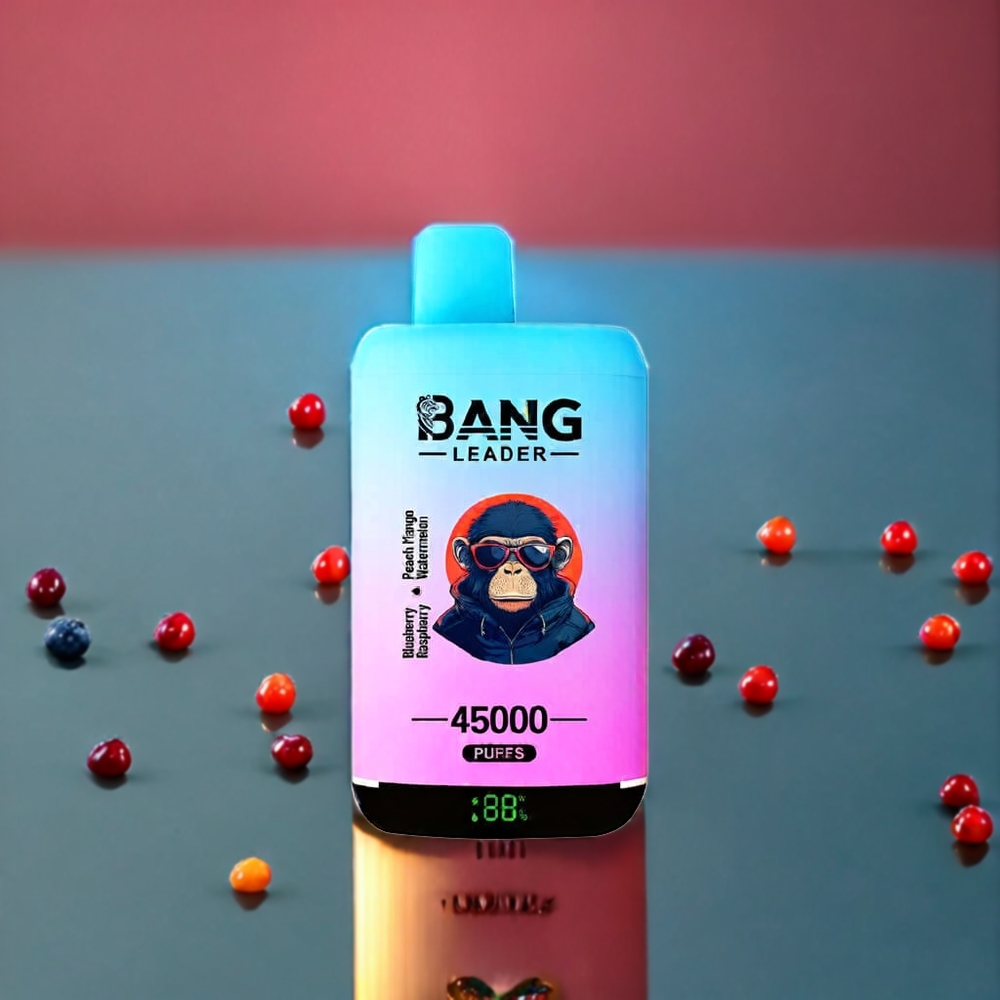 Bang Leader 45000パフ ブルーベリー ラズベリー ピーチ マンゴー スイカ ジャパン まとめ買い スマートスクリーン デュアルフレーバー
