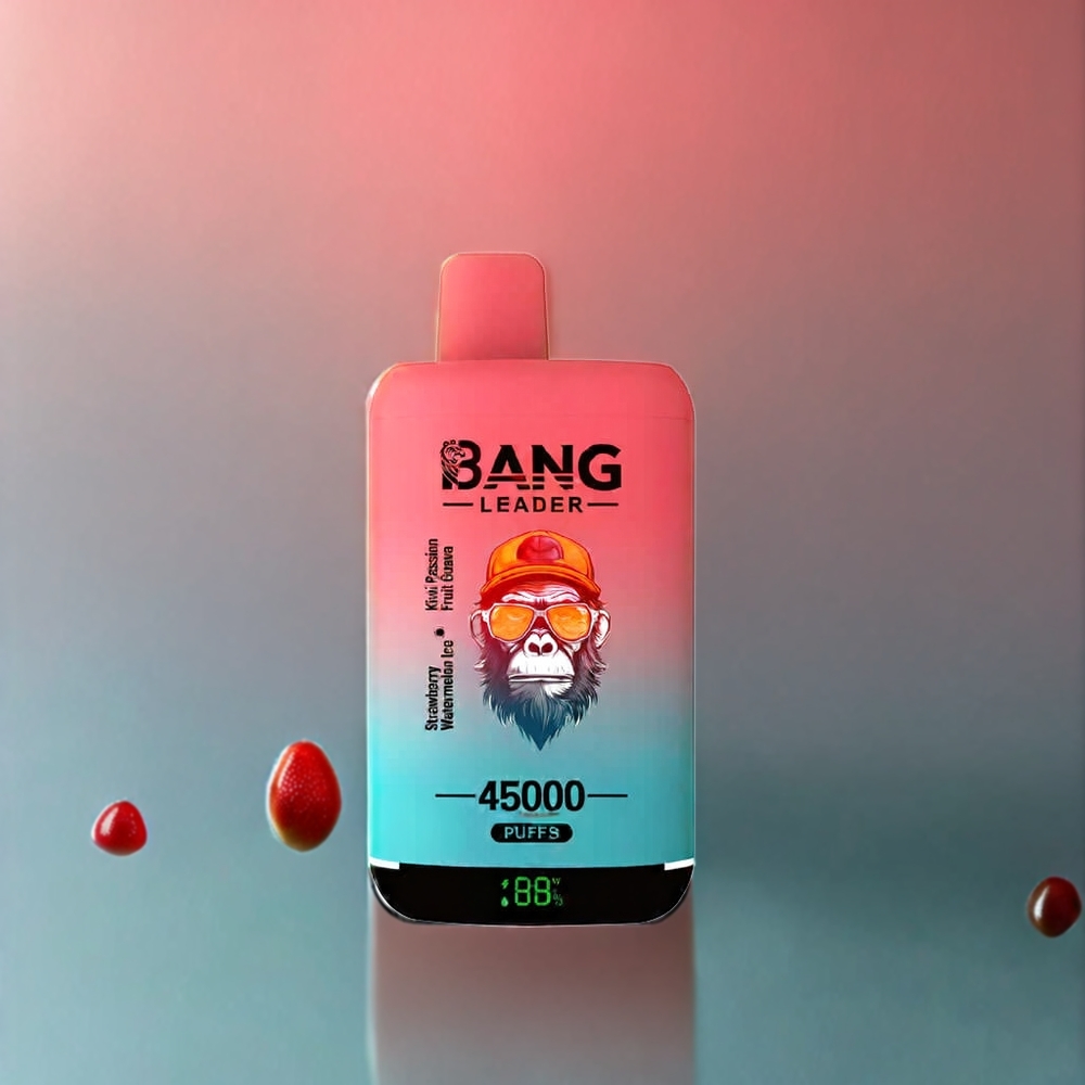 Bang Leader 45000 パフ ストロベリー スイカ キウイ パッションフルーツ グアバ ジャパン まとめ買い スマートスクリーン デュアルフレーバー