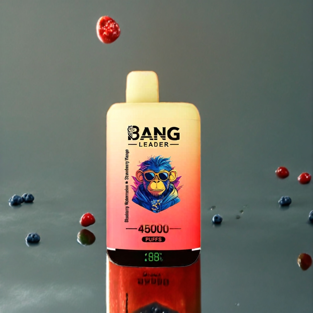 Bang Leader 45000 パフ ブルーベリー スイカ ストロベリー マンゴー ジャパン まとめ買い スマートスクリーン Type-C デュアルフレーバー