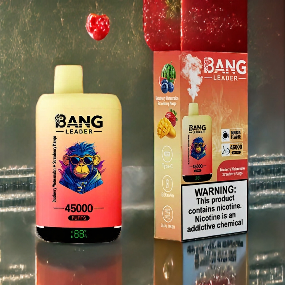 Bang Leader 45000 パフ ブルーベリー スイカ ストロベリー マンゴー ジャパン まとめ買い スマートスクリーン Type-C デュアルフレーバー