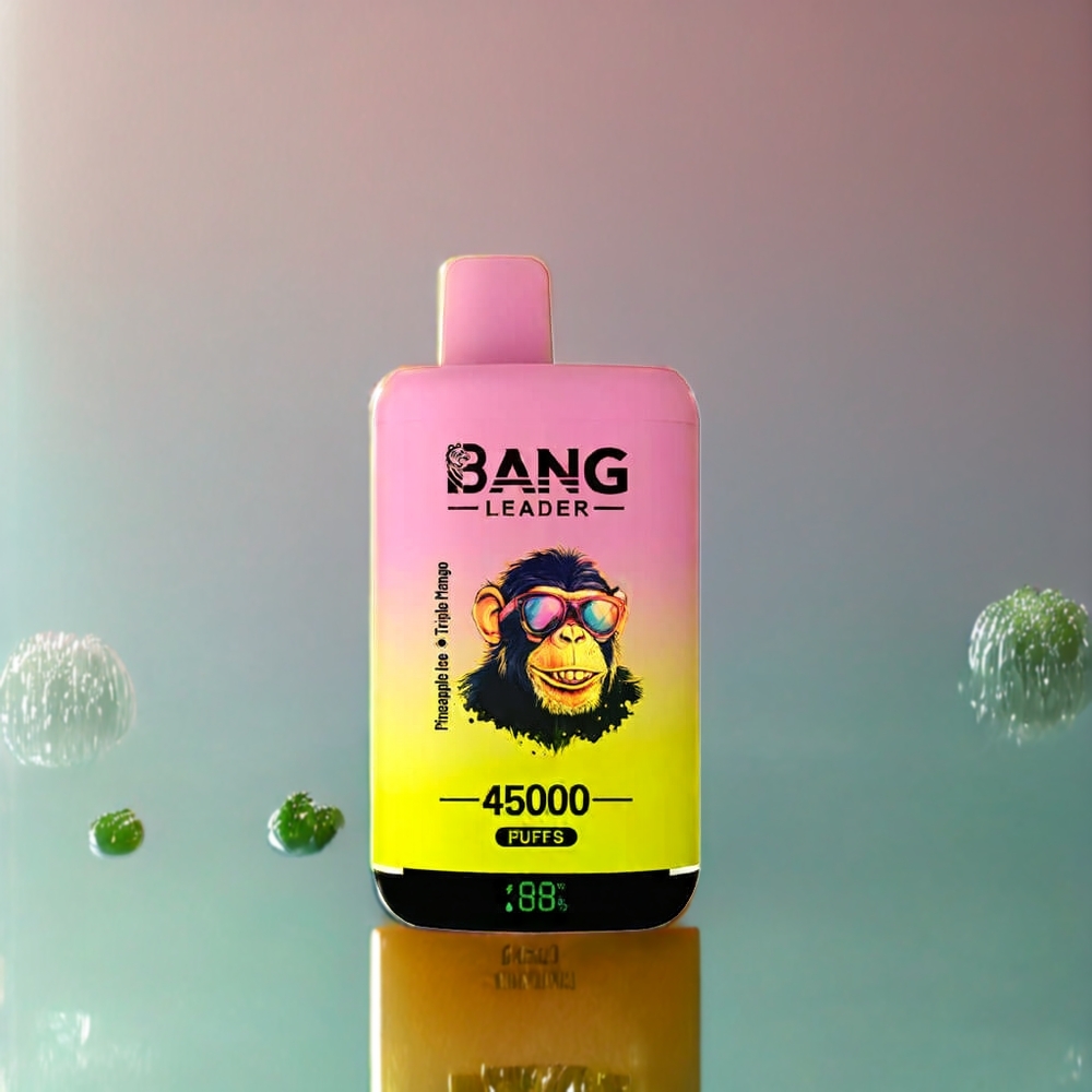 Bang Leader 45000パイナップルアイストリプルマンゴ ジャパン まとめ買い スマートスクリーン Type-C デュアルフレーバー 5%