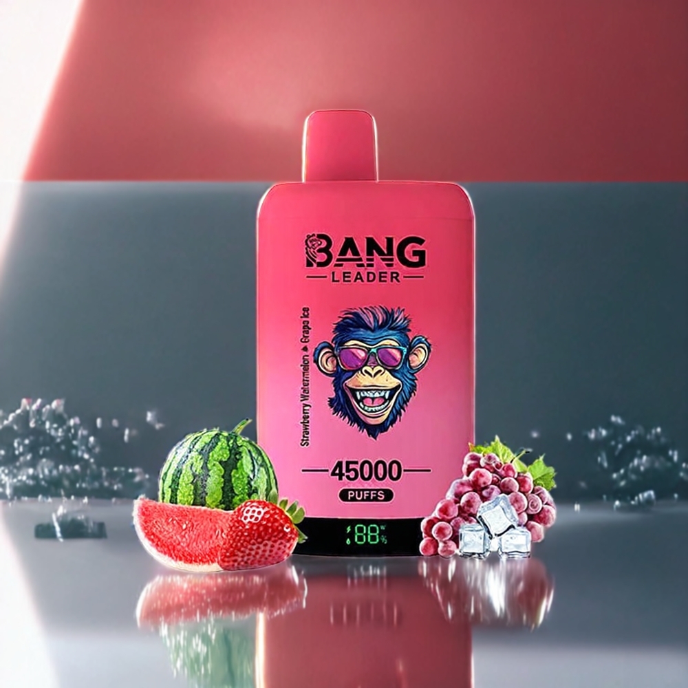 Bang Leader 45000パフス ストロベリーウォーターメロングレープアイス ジャパン まとめ買い スマートスクリーン Type-C USB デュアルフレーバー