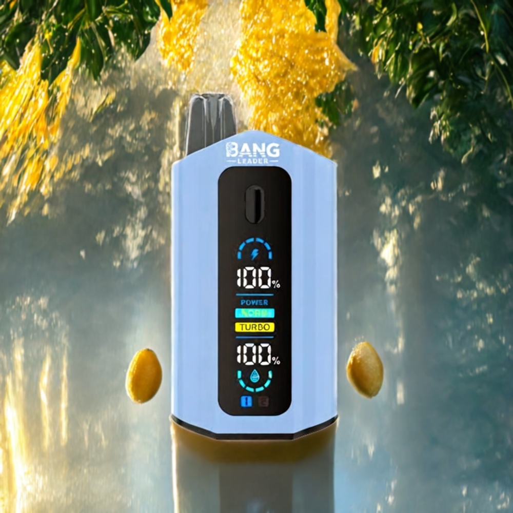 Bang Leader 50000 パフ バナナアイスマンゴー ジャパン まとめ買い 13400mAh 36ml