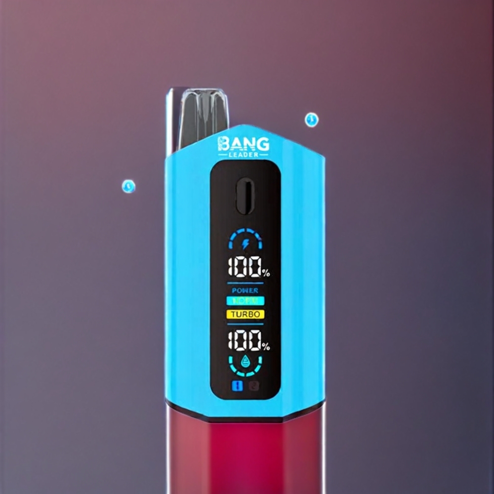 Bang Leader 50000 パフ ブルーベリー サワーラズベリー ジャパン まとめ買い 13400mAh 36ml