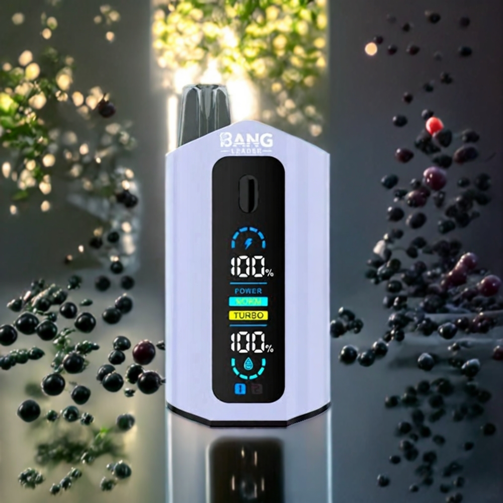 Bang Leader 50000パフ ブラックグレープ グリーングレープ ジャパン まとめ買い 13400mAh 36ml