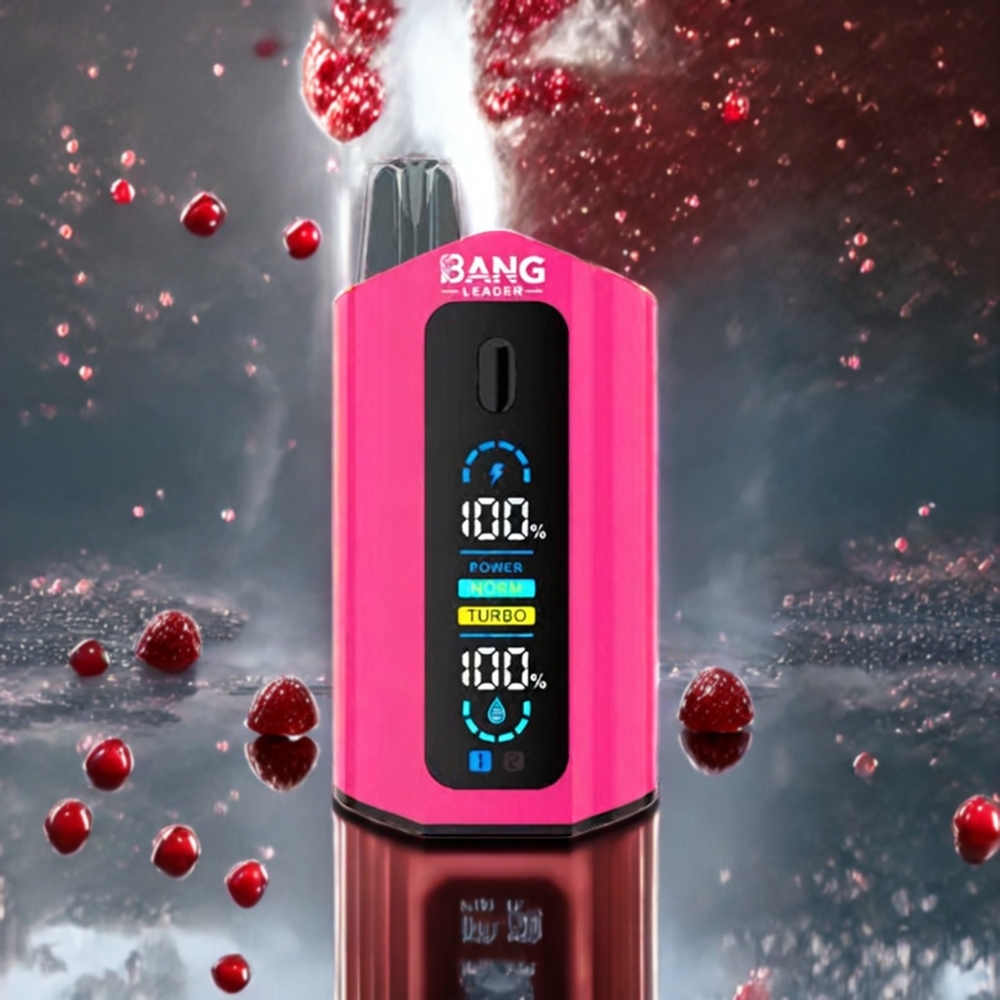 Bang Leader 50000 パフ ブルーベリー ラズベリー レモネード ストロベリー ラズベリー チェリー アイス ジャパン まとめ買い 13400mAh 36ml Type-C