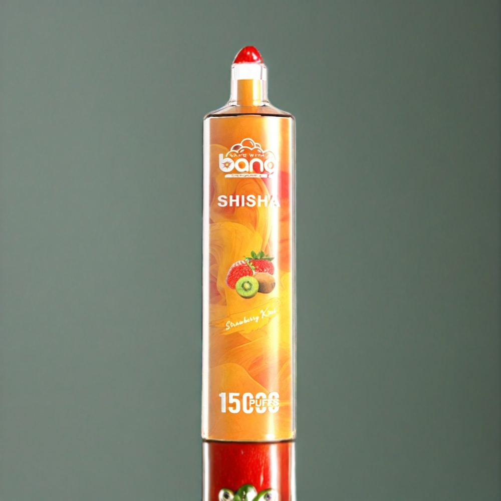 Bang Shisha 15000 パフ ストロベリーキウイ ジャパン まとめ買い Type-C 600mAh