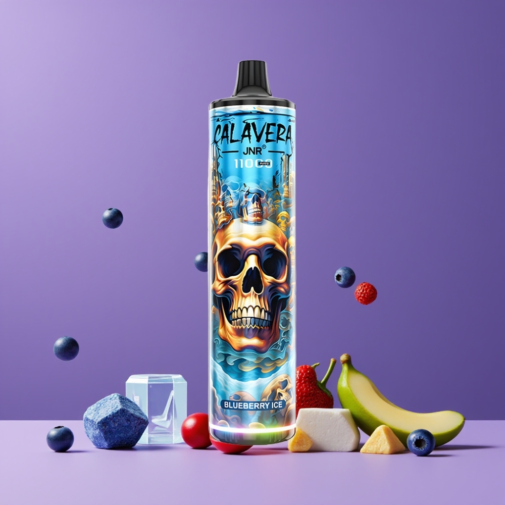 JNR Calavera 11000 ブルーベリーアイス ジャパン まとめ買い Type-C 850mAh 21ml 1.0ohm