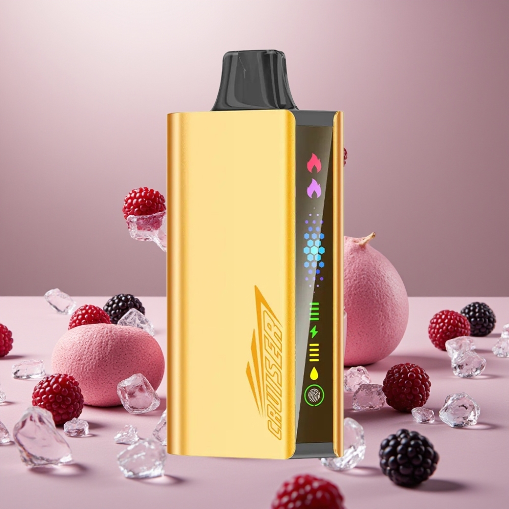 JNR Cruiser 12000 パフスブラックベリーアイスジャパンまとめ買い3500mAh25ml1.2ohmデュアルメッシュコイル