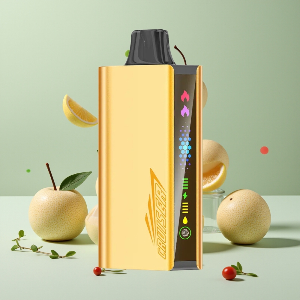 JNR Cruiser 12000 パフス クールミント ジャパン まとめ買い 3500mAh 25ml デュアルメッシュコイル