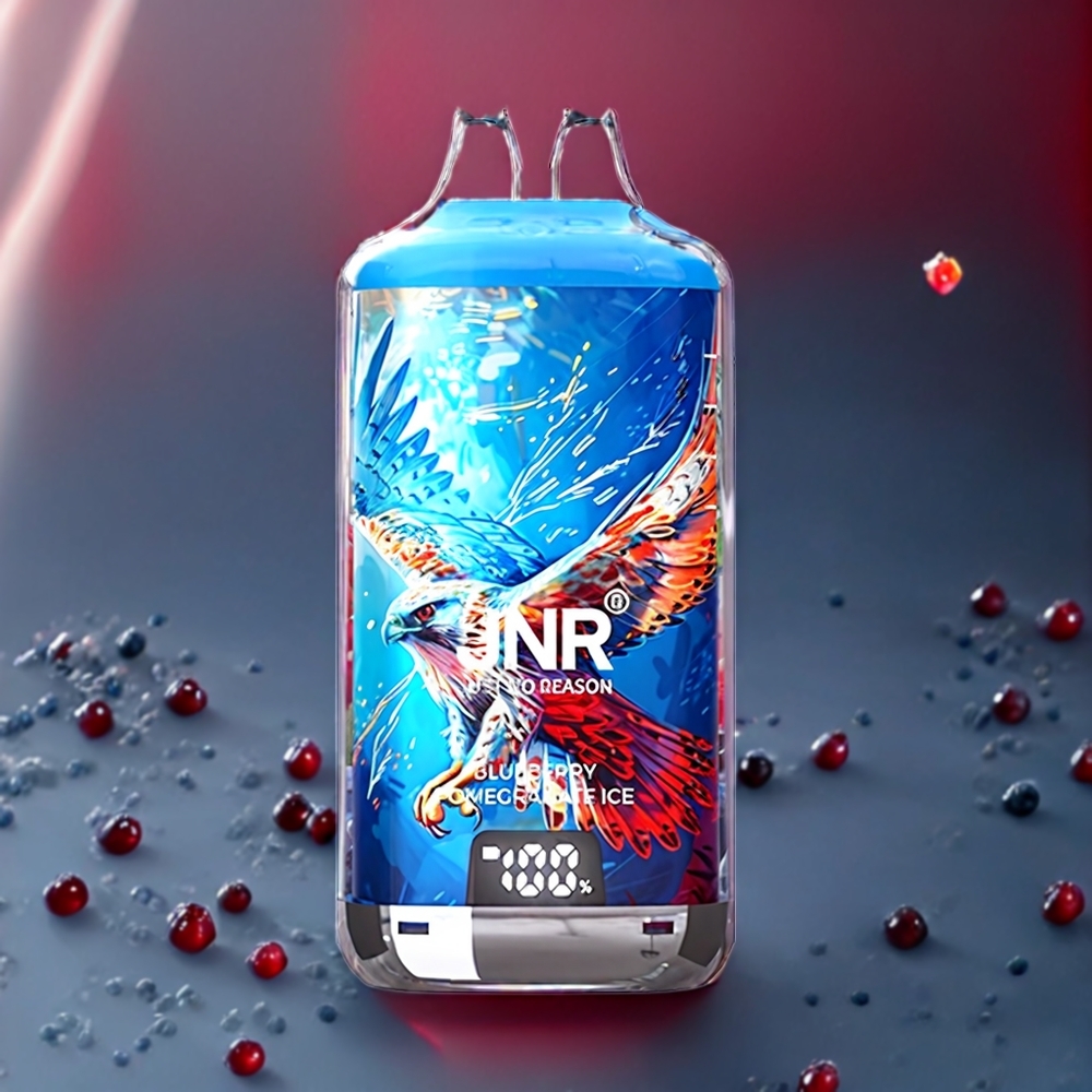 JNR Falcon X⁺ 28000 ブルーベリーポメグラネートアイス ジャパン まとめ買い 充電式 2 10ml