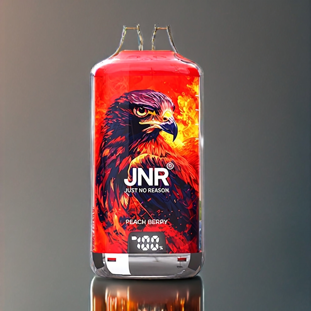 JNR Falcon X⁺ 28000 ピーチベリー ジャパン まとめ買い 950mAh トップリフィル デュアルメッシュ