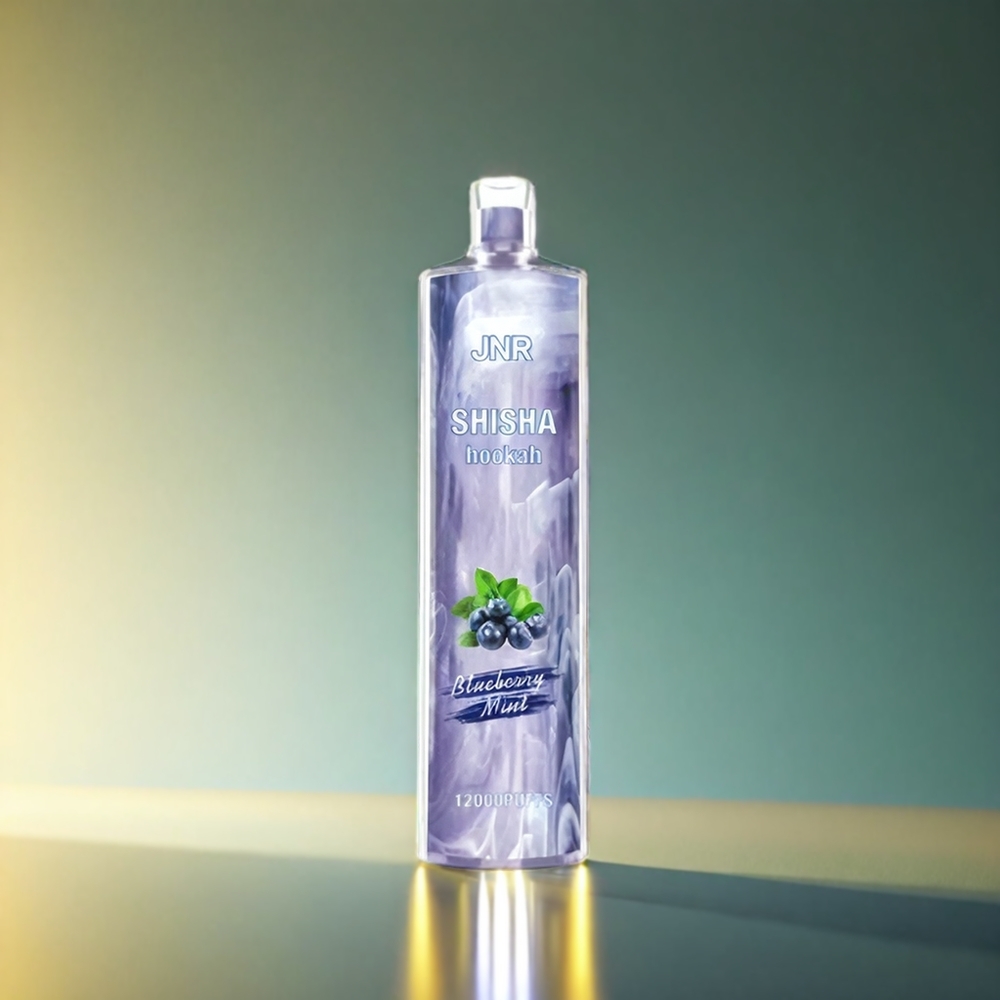 Jnr Shisha Hookah 750mAh 24ml 2% ブルーベリーミント ジャパン まとめ買い