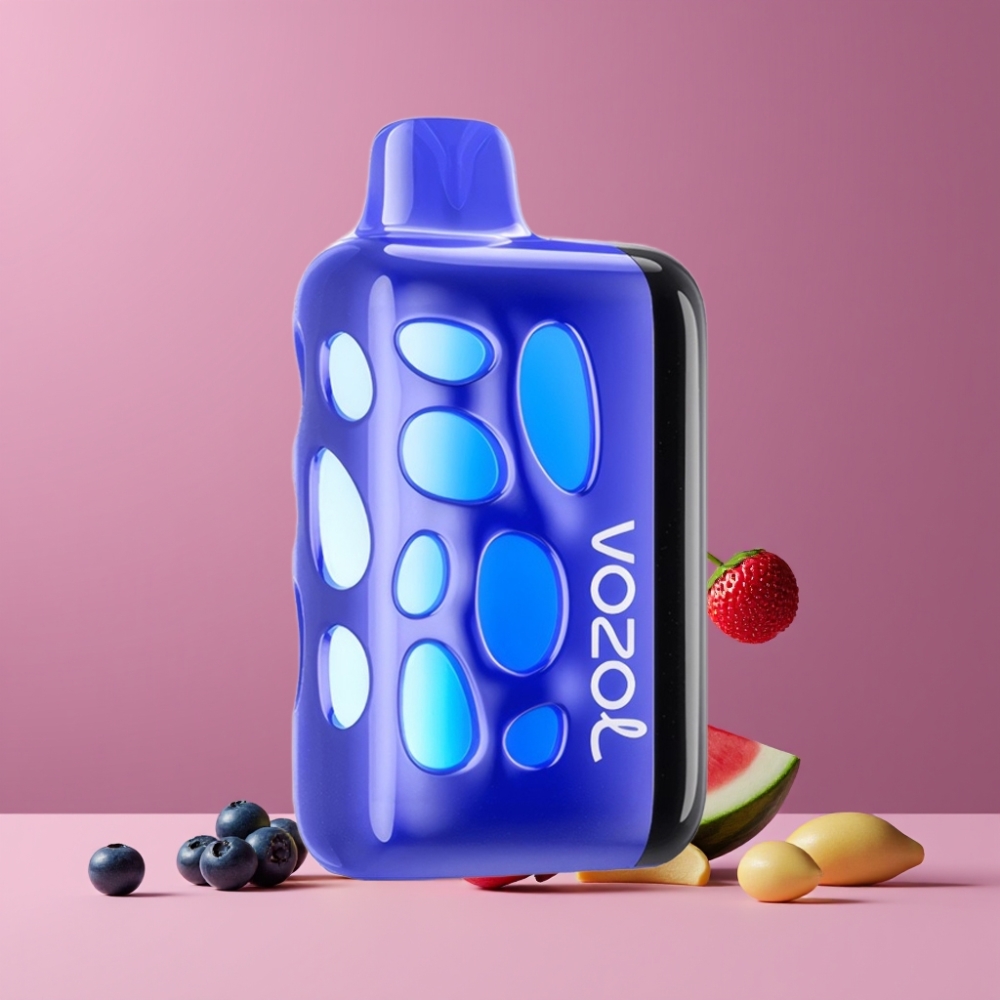 VOZOL RAVE 40000 ブルーベリーウォーターメロン ジャパン まとめ買い 270度グロー ビート同期 80充電20分
